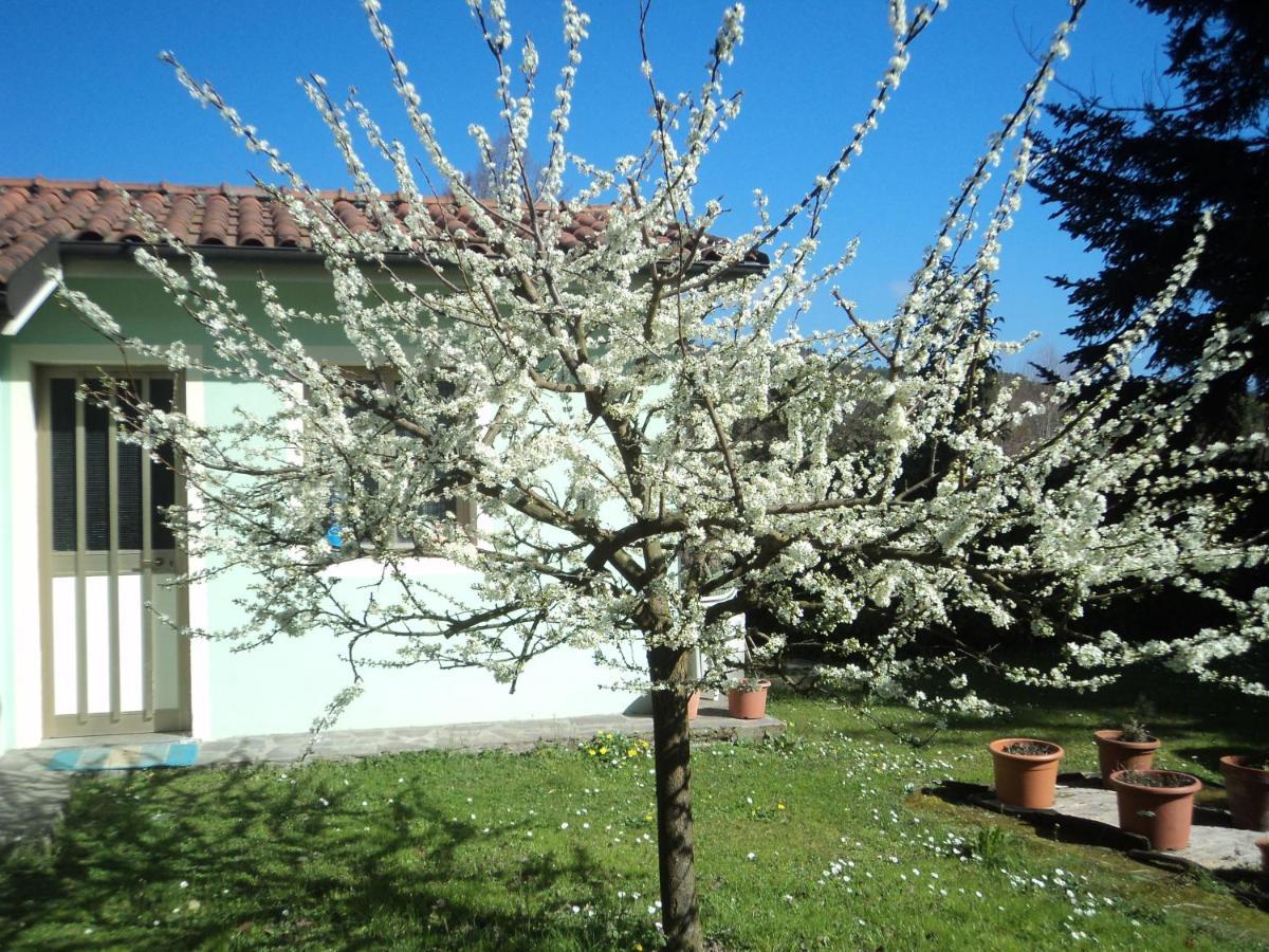 Casa Le Sorelline Guest House San Macario In Piano ภายนอก รูปภาพ